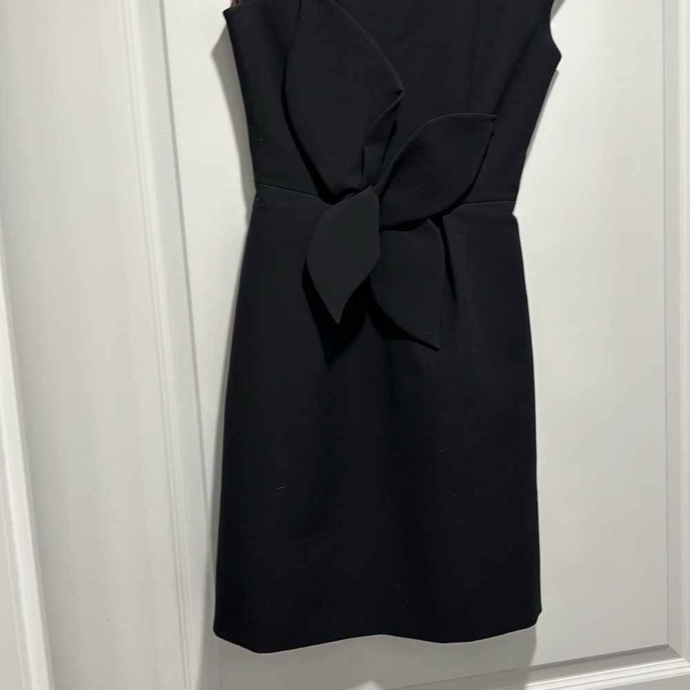 Ted Baker dress - Picture 4 of 12